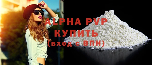 индика Тында