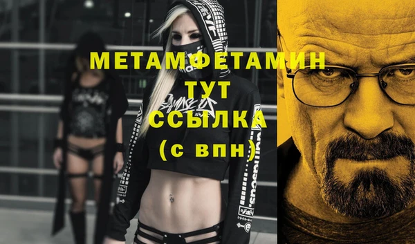 молекула духа Снежногорск