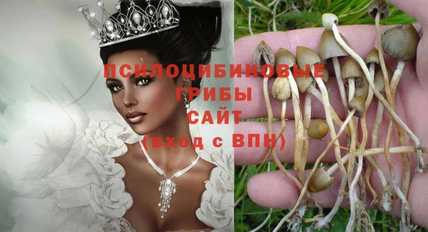 мескалин Новозыбков