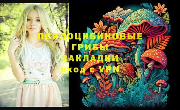 мескалин Новозыбков