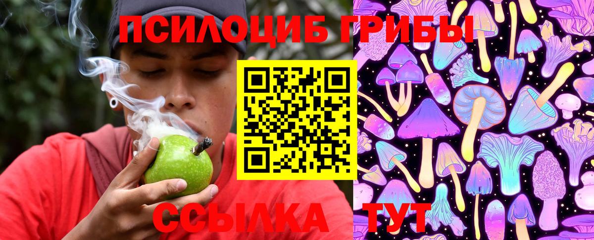 Псилоцибиновые грибы Psilocybe Тулун