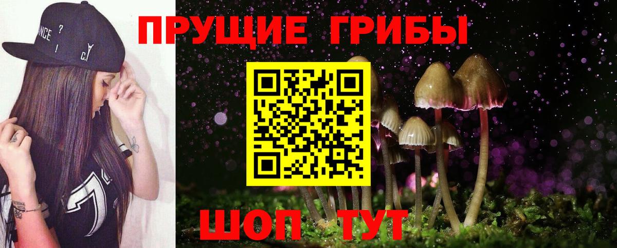 Галлюциногенные грибы GOLDEN TEACHER  Вход с VPN  Тулун  Псилоцибиновые грибы Magic Shrooms 